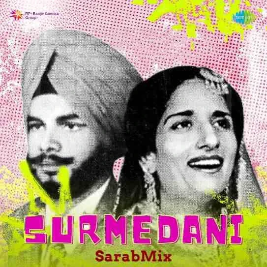 Surmedani Didar Sandhu, Surinder Kaur mp3 song download, Surmedani Didar Sandhu, Surinder Kaur full album mp3 song