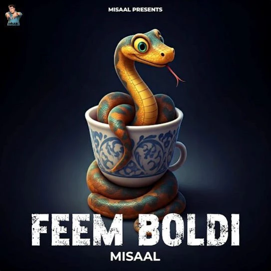 Feem Boldi Misaal mp3 song download, Feem Boldi Misaal full album mp3 song