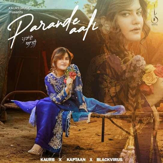 Parande Aali Kaur B mp3 song download, Parande Aali Kaur B full album mp3 song