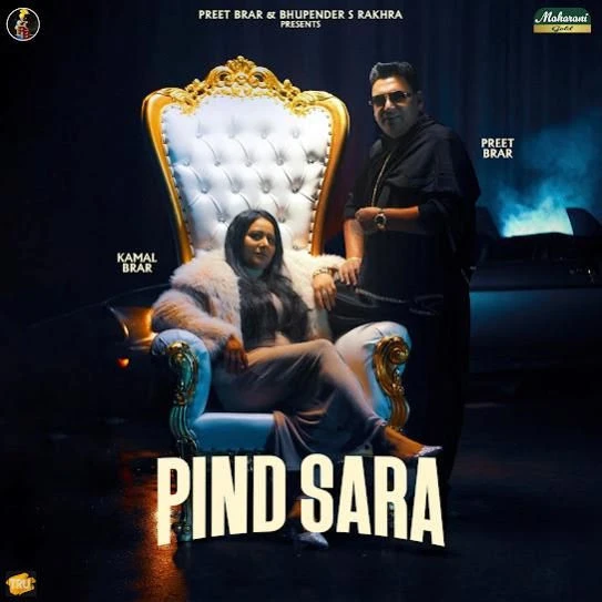 Pind Sara Preet Brar mp3 song download, Pind Sara Preet Brar full album mp3 song