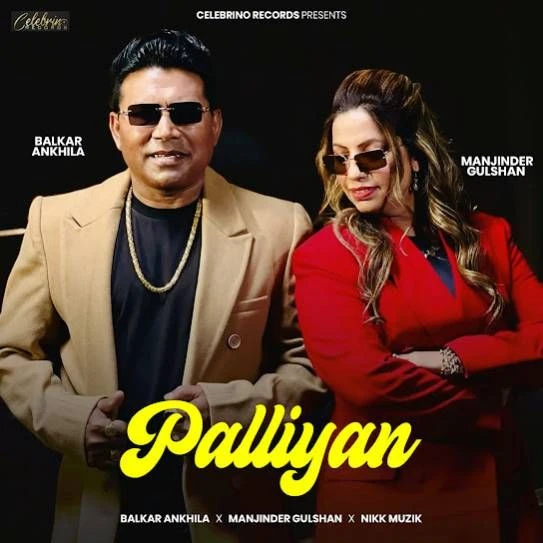 Palliyan Balkar Ankhila mp3 song download, Palliyan Balkar Ankhila full album mp3 song