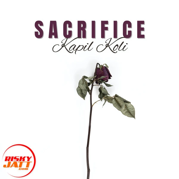 Sacrifice Kapil Koli mp3 song download, Sacrifice Kapil Koli full album mp3 song