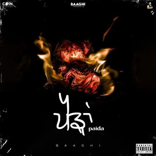 Paida Baaghi mp3 song download, Paida Baaghi full album mp3 song