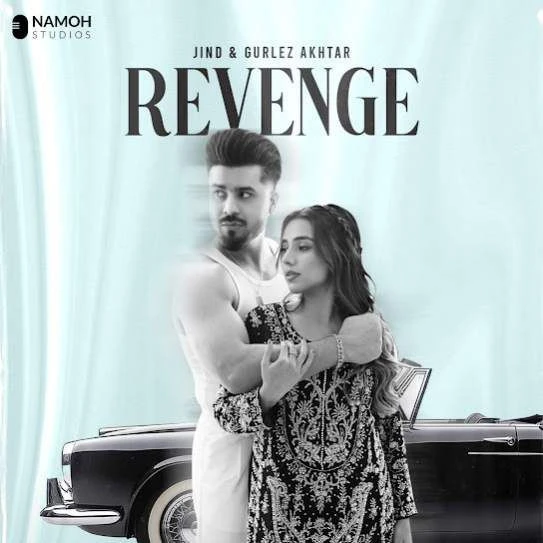 Revenge Jind mp3 song download, Revenge Jind full album mp3 song