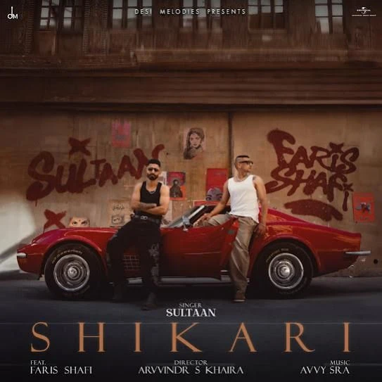 Shikari Sultaan mp3 song download, Shikari Sultaan full album mp3 song