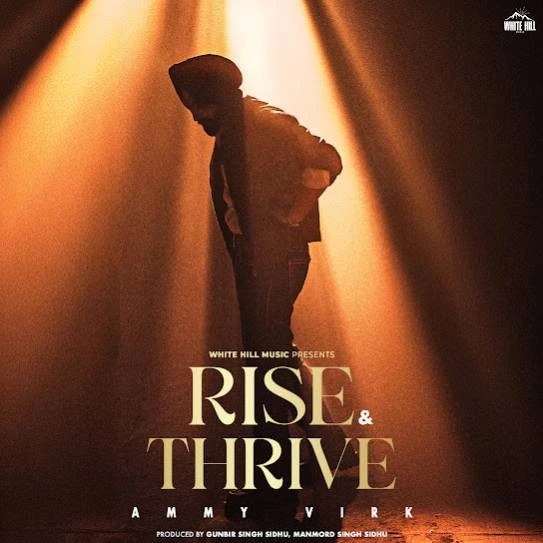 Yaadaan Sahaare Ammy Virk mp3 song download, Rise & Thrive Ammy Virk full album mp3 song