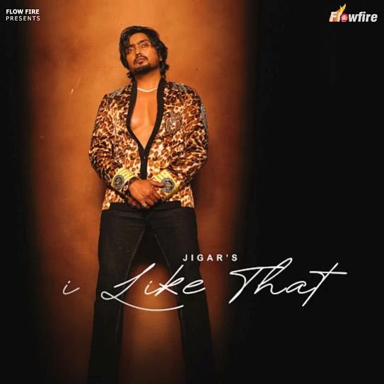I Like That Jigar mp3 song download, I Like That Jigar full album mp3 song