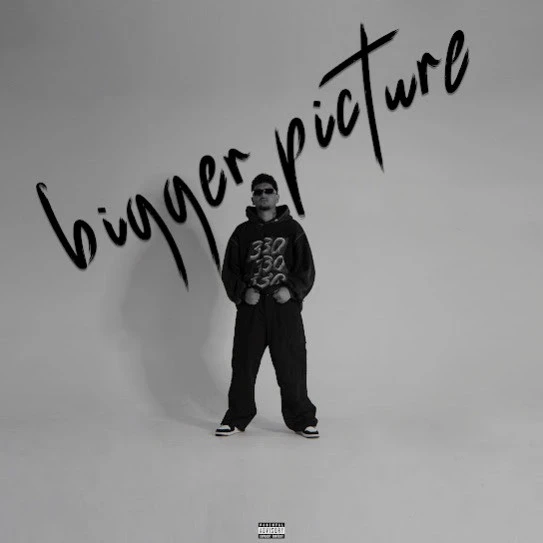 Bigger Picture By Flop Likhari full mp3 album