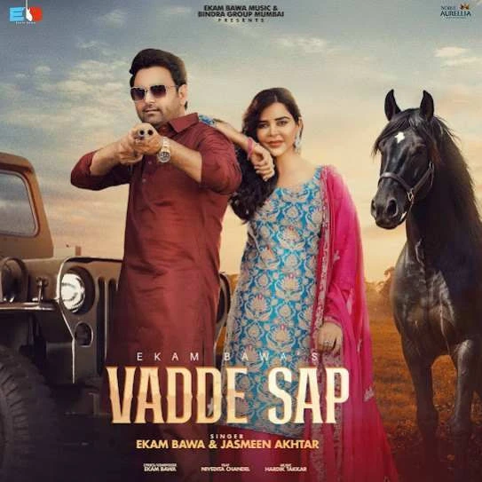 Vadde Sap Ekam Bawa mp3 song download, Vadde Sap Ekam Bawa full album mp3 song