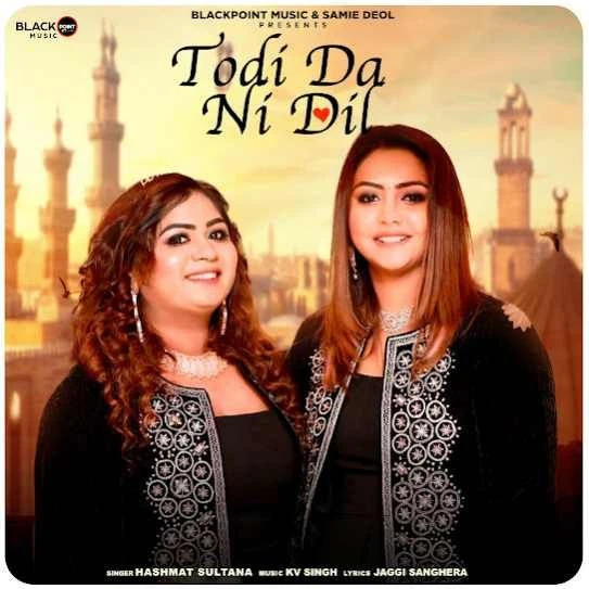 Todi Da Ni Dil Hashmat Sultana mp3 song download, Todi Da Ni Dil Hashmat Sultana full album mp3 song