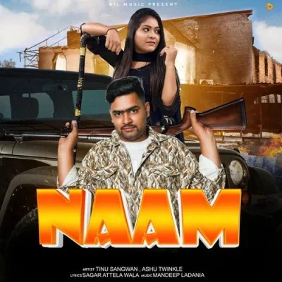 Naam Ashu Twinkle mp3 song download, Naam Ashu Twinkle full album mp3 song