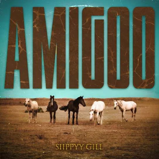 Amigoo Sippy Gill mp3 song download, Amigoo Sippy Gill full album mp3 song