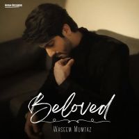 Beloved Waseem Mumtaz, Bilal Saeed mp3 song download, Beloved Waseem Mumtaz, Bilal Saeed full album mp3 song