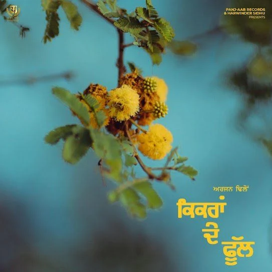 Kikran De Phull Arjan Dhillon mp3 song download, Kikran De Phull Arjan Dhillon full album mp3 song