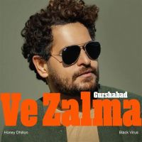Ve Zalma Gurshabad mp3 song download, Ve Zalma Gurshabad full album mp3 song