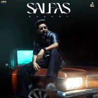 Salfas Baaghi mp3 song download, Salfas Baaghi full album mp3 song