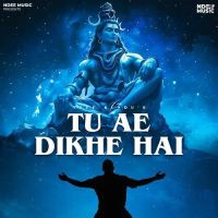 Tu Ae Dikhe Hai Ndee Kundu mp3 song download, Tu Ae Dikhe Hai Ndee Kundu full album mp3 song