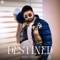 Destined Shivjot mp3 song download, Destined Shivjot full album mp3 song