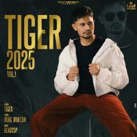 Saah Tiger mp3 song download, Tiger 2025 Vol. 1 Tiger full album mp3 song