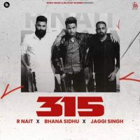 315 R. Nait mp3 song download, 315 R. Nait full album mp3 song