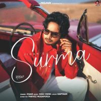 Surma Jigar mp3 song download, Surma Jigar full album mp3 song