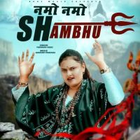 Namo Namo Shambhu Farmani Naaz mp3 song download, Namo Namo Shambhu Farmani Naaz full album mp3 song