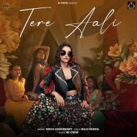 Tere Aali Shiva Choudhary mp3 song download, Tere Aali Shiva Choudhary full album mp3 song