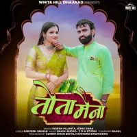 Tota Maina Pawan Pilaniya, Nonu Rana mp3 song download, Tota Maina Pawan Pilaniya, Nonu Rana full album mp3 song