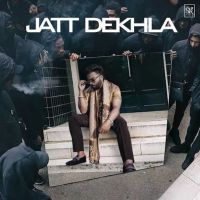 Jatt Dekhla Sarthi K mp3 song download, Jatt Dekhla Sarthi K full album mp3 song