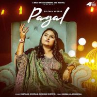 Pagal Sultana Nooran mp3 song download, Pagal Sultana Nooran full album mp3 song