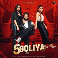 5 Goliya Pathan mp3 song download, 5 Goliya Pathan full album mp3 song