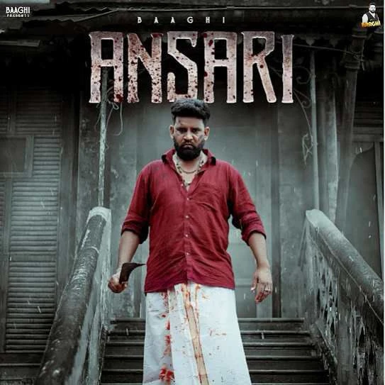 Ansari Baaghi mp3 song download, Ansari Baaghi full album mp3 song
