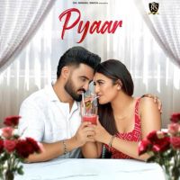 Pyaar Resham Anmol mp3 song download, Pyaar Resham Anmol full album mp3 song
