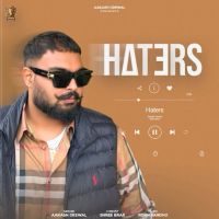 Haters Aakash Grewal mp3 song download, Haters Aakash Grewal full album mp3 song