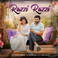 Razzi Razzi Harjeet Deewana mp3 song download, Razzi Razzi Harjeet Deewana full album mp3 song