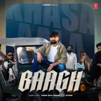 Baagh Khasa Aala Chahar mp3 song download, Baagh Khasa Aala Chahar full album mp3 song