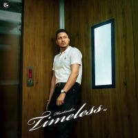 Timeless By Hustinder full mp3 album