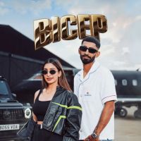 Bicep Sarika Gill, Sultaan mp3 song download, Bicep Sarika Gill, Sultaan full album mp3 song