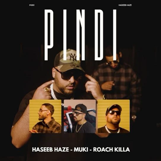 Pindi Haseeb Haze mp3 song download, Pindi Haseeb Haze full album mp3 song