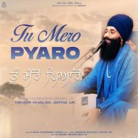 Tu Mero Pyaro Nirvair Khalsa Jatha UK mp3 song download, Tu Mero Pyaro Nirvair Khalsa Jatha UK full album mp3 song