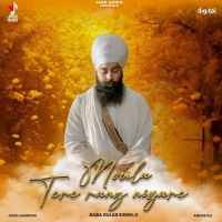 Moula Tere Rang Niyare Baba Gulab Singh Ji mp3 song download, Moula Tere Rang Niyare Baba Gulab Singh Ji full album mp3 song