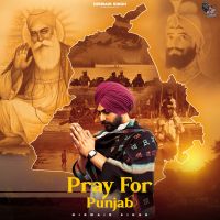 Pray for punjab Nirwair Singh mp3 song download, Pray for punjab Nirwair Singh full album mp3 song