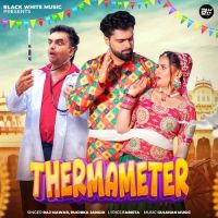 Thermameter Ruchika Jangid, Raj Mawar mp3 song download, Thermameter Ruchika Jangid, Raj Mawar full album mp3 song