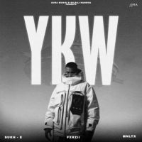 YKW Sukh-E Muzical Doctorz mp3 song download, YKW Sukh-E Muzical Doctorz full album mp3 song
