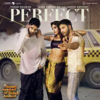Perfect Guru Randhawa mp3 song download, Perfect Guru Randhawa full album mp3 song