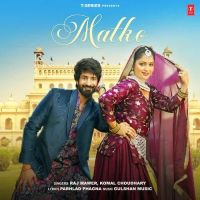 Matko Raj Mawer, Komal Chaudhary mp3 song download, Matko Raj Mawer, Komal Chaudhary full album mp3 song