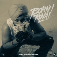 Born Royal Jaura Phagwara mp3 song download, Born Royal Jaura Phagwara full album mp3 song
