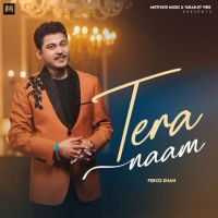 Tera Naam Feroz Khan mp3 song download, Tera Naam Feroz Khan full album mp3 song