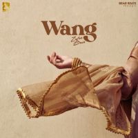 Wang Zafar Brar mp3 song download, Wang Zafar Brar full album mp3 song