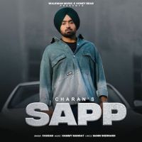 Sapp Charan mp3 song download, Sapp Charan full album mp3 song